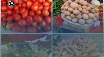 سعر الخضراوات اليوم في أسواق الإسكندرية يشهد استقرارًا ملحوظًا